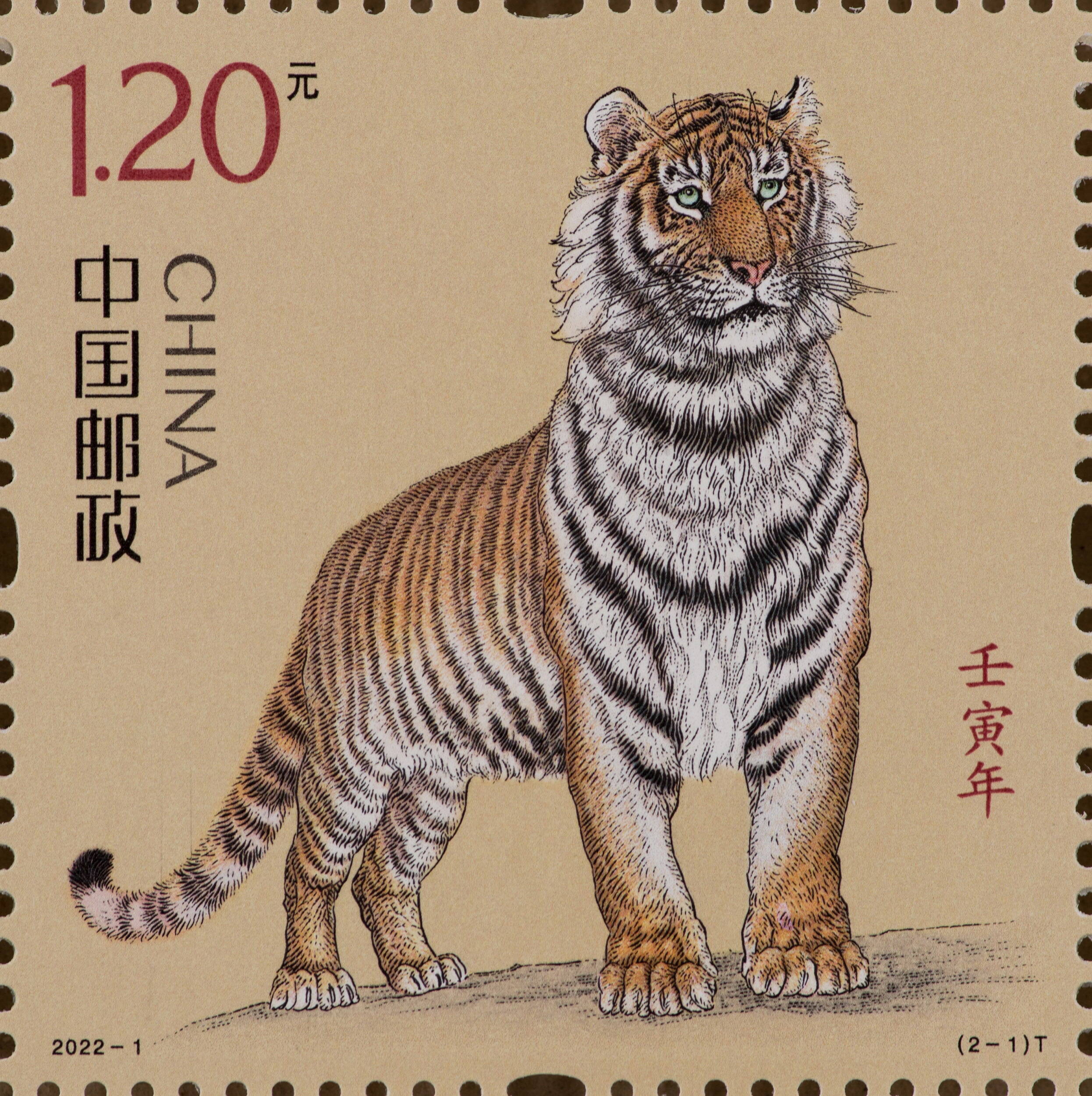 虎年邮票设计手绘图片