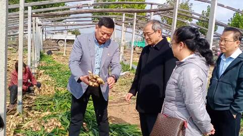 潍坊669名农业科技人才服务“三农” 为乡村振兴提供智力支持