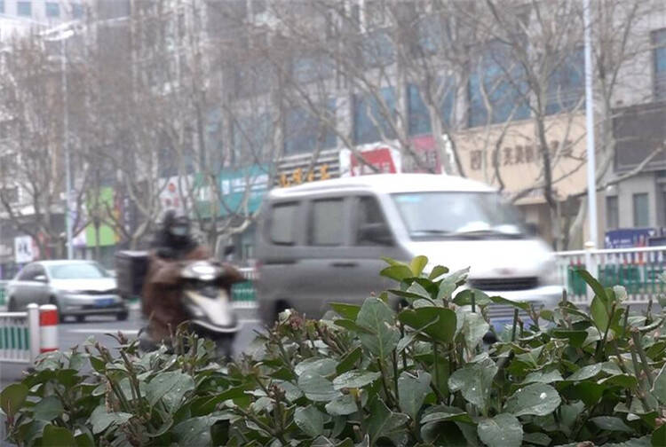 潍坊迎来2022年首场降雪 期间伴有大风和降温天气