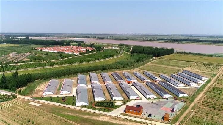 利津县成功创建山东省乡村振兴示范县 百万亩粮食种植机械化达94.76%