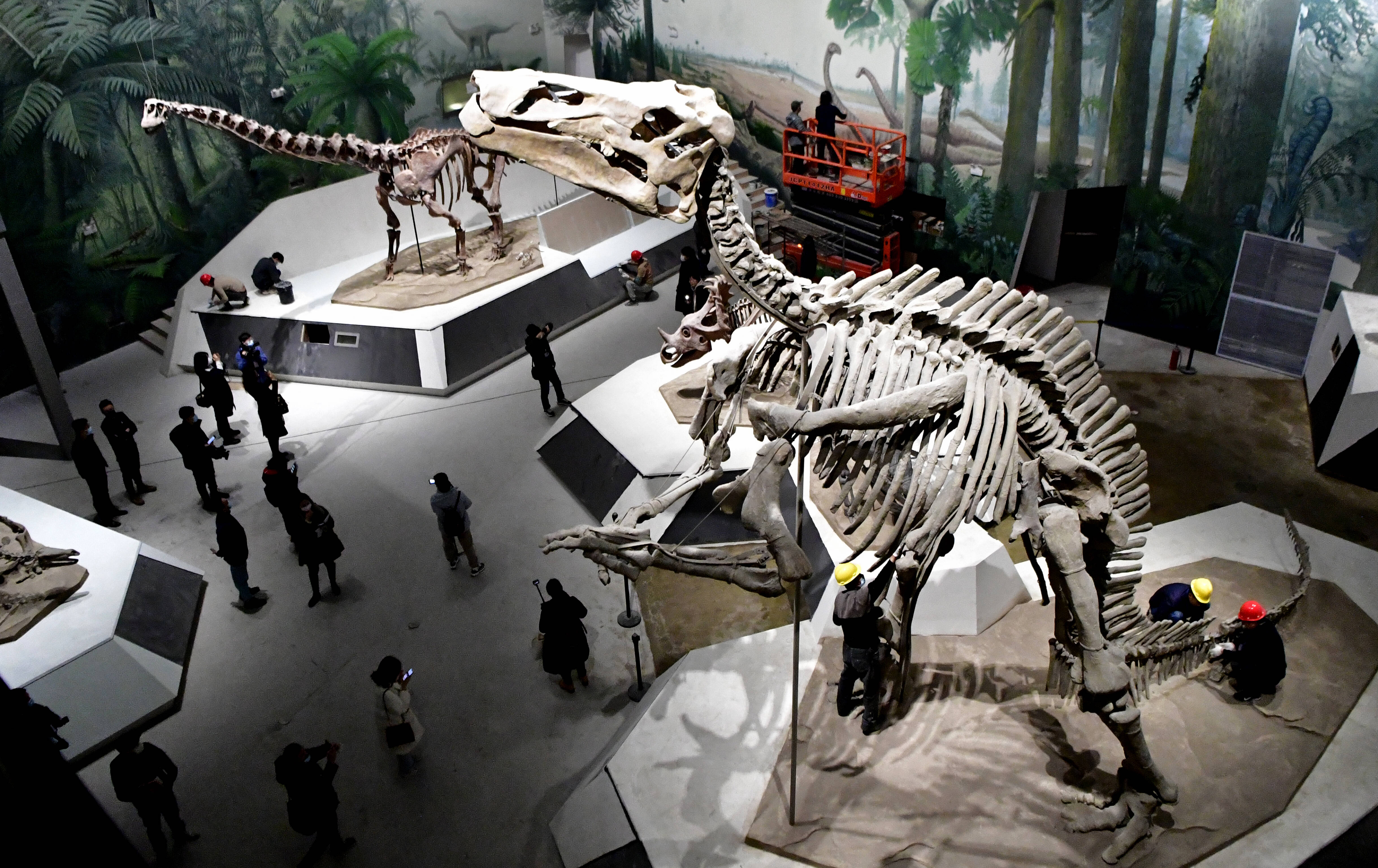 恐龙里的“山东大汉”！巨型山东龙11年后重现省博 山东博物馆两大新展即将上演