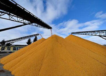 德州市级成品粮储备规模增至5000吨 粮油保供价稳
