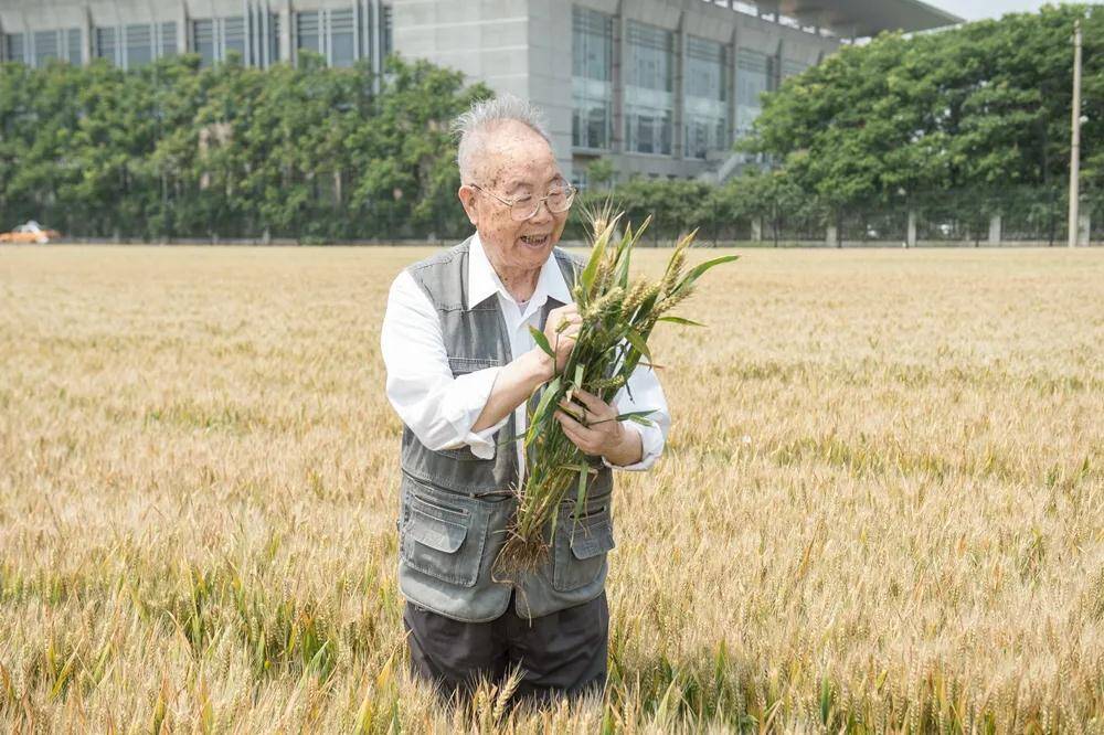 先生走好！我国著名小麦育种家李晴祺去世 享年92岁
