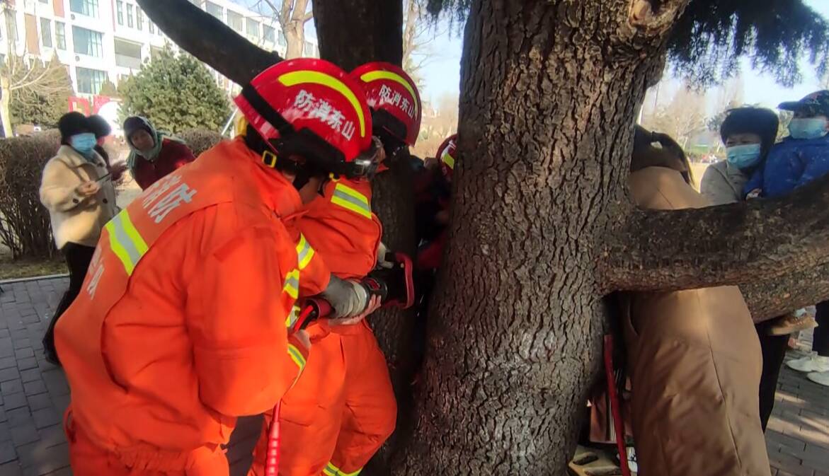 日照莒县一男孩攀爬大树右腿被卡树杈 消防极速解救