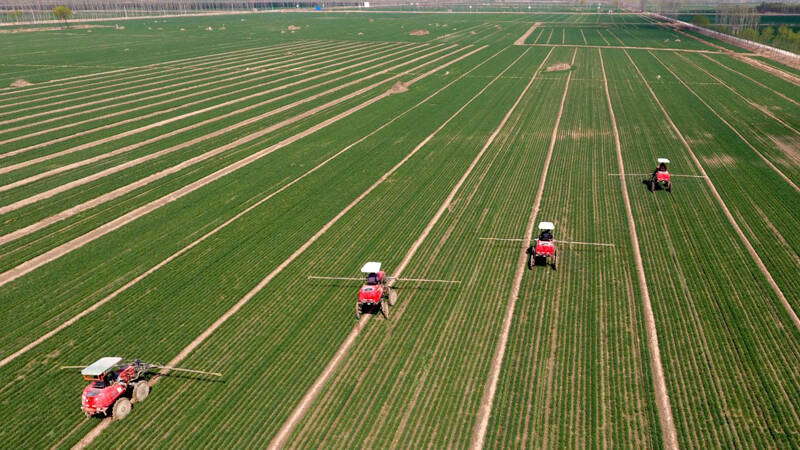 总投资2亿元、荷兰技术种植车厘子，德州数字农业示范区将于3月底启动