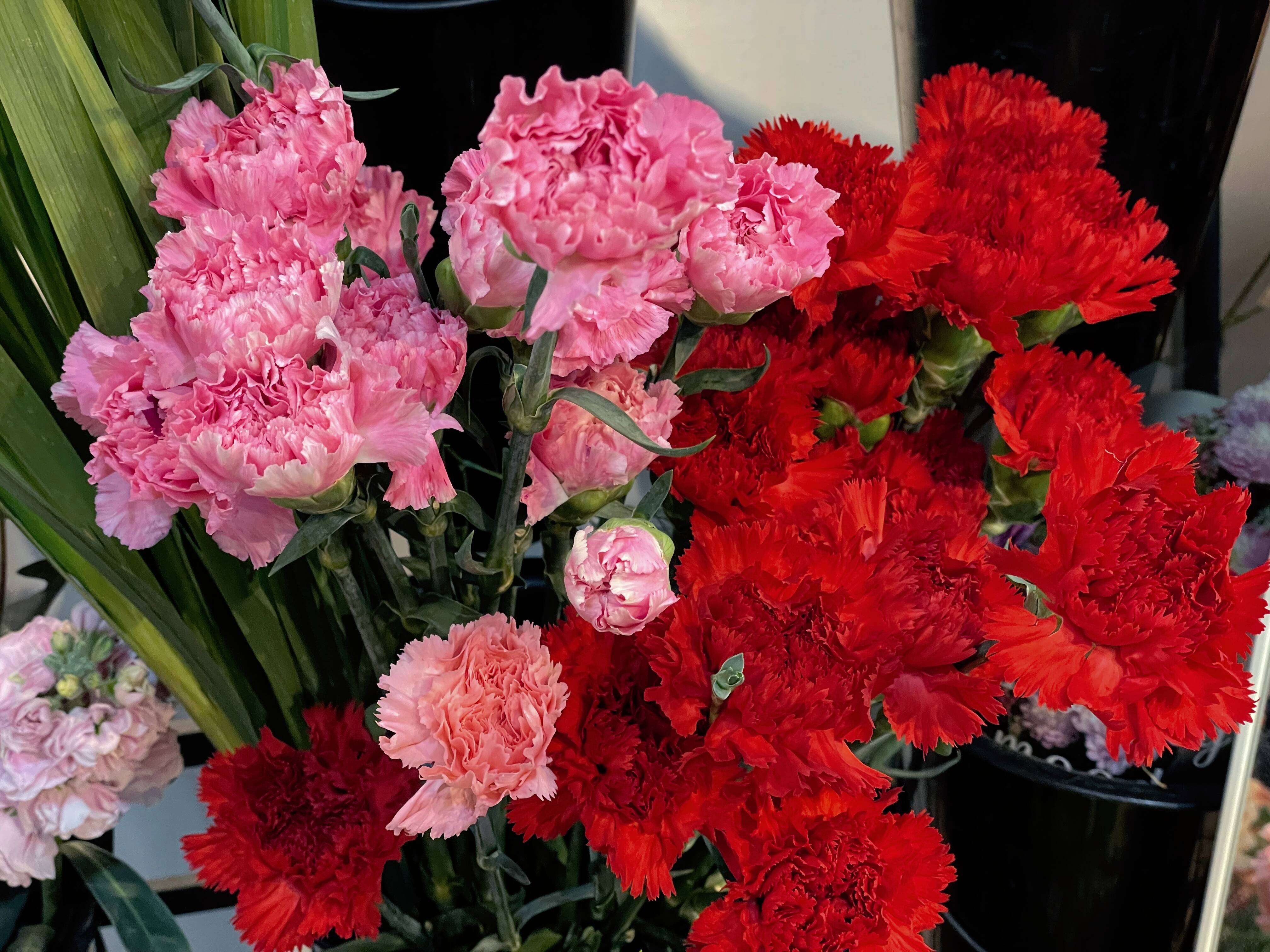 婦女節來啦！濟南花卉市場鮮花持續熱銷
