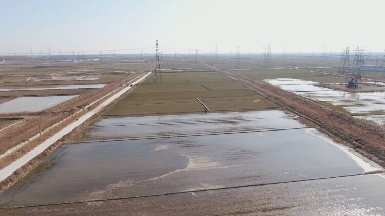东营区：农田灌溉正当时 民心工程显高效
