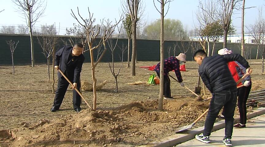 金乡20所学校种植“纪念英雄王杰”银杏树 为校园增添新绿