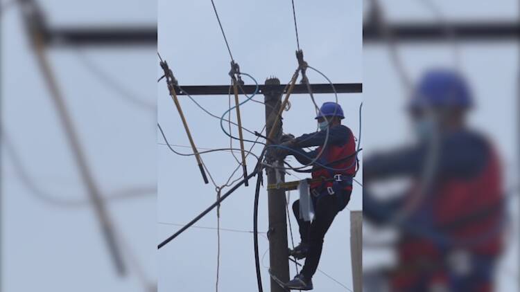 仅用半小时完成抢修 国网威海供电公司助居民恢复送电