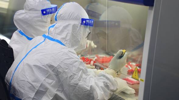 与病毒正面“对决”！潍坊市坊子区“防疫战士”日均核酸检测量达到7万份以上