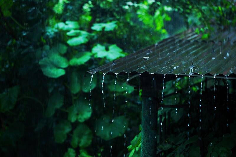 这么多的雨水被什么运到天上?成千上亿吨雨水