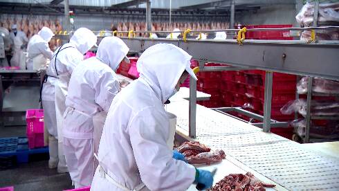 潍坊市潍城区：强化防疫促生产 全力保障“肉案子”产品供应