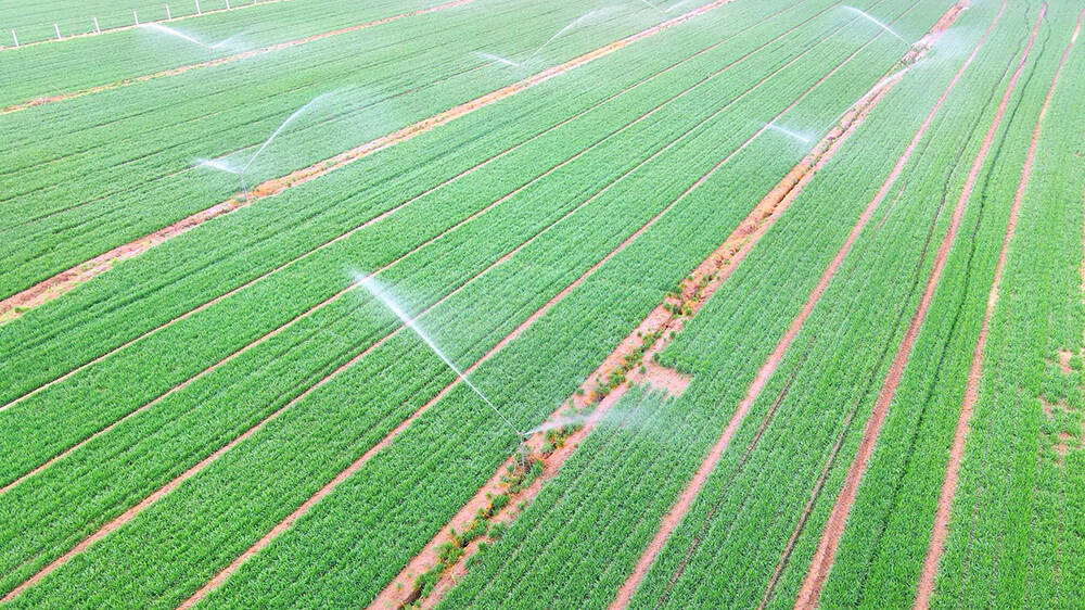 《人民日报》关注夏津县春季灌溉：节水技术落地，浇地变成浇作物，增产增效不增水