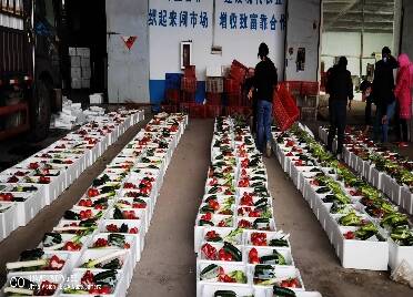 出发，寿光15吨蔬菜发往上海！后期将日供应上海蔬菜200吨以上