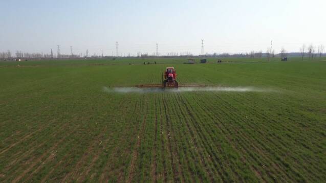小麦进入拔节期，病虫害增多怎么办？潍坊农技专家建议“一喷三防”