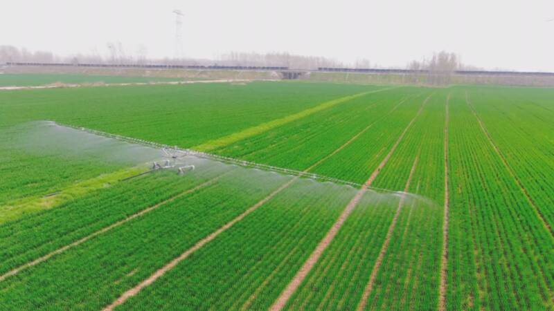 山东嘉祥：水肥一体智能化灌溉 科技助力粮食增产丰收
