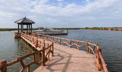 4月14日起 黄河口生态旅游区有序恢复室外景点开放