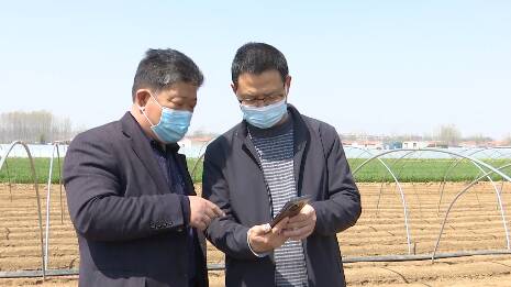线上“问诊把脉” 潍坊市坊子区110余名农技人员为春耕生产提供技术支撑