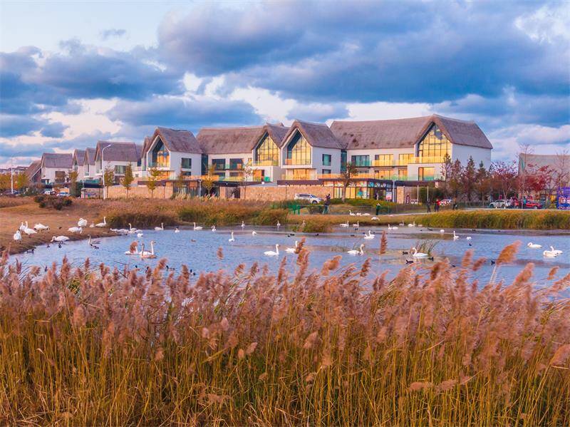 算好两山理论公式荣成市好运角旅游度假区打造生态文明建设新高地