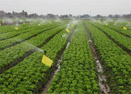 泰安市农机齐上阵 保障春季农业生产高效开展