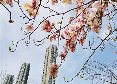威海：人间四月，陌上花开，请收下这份春日限定！