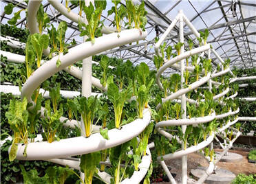 寿光：农业“黑科技”集中亮相菜博会 集中展示80多种栽培模式