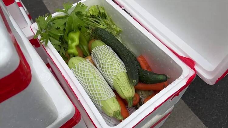 山东大哥从家乡采购了10吨蔬菜，无偿送给苏州管控区居民