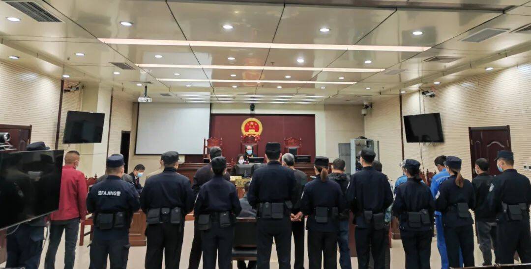 日照五莲县人民法院刑事速裁半小时审结11件危险驾驶案