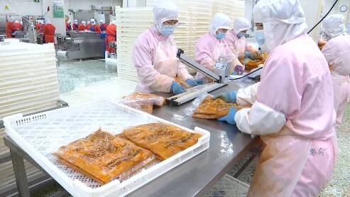 巧借“东风”，顺势而起！潍坊市坊子区打造10亿级预制菜产业基地