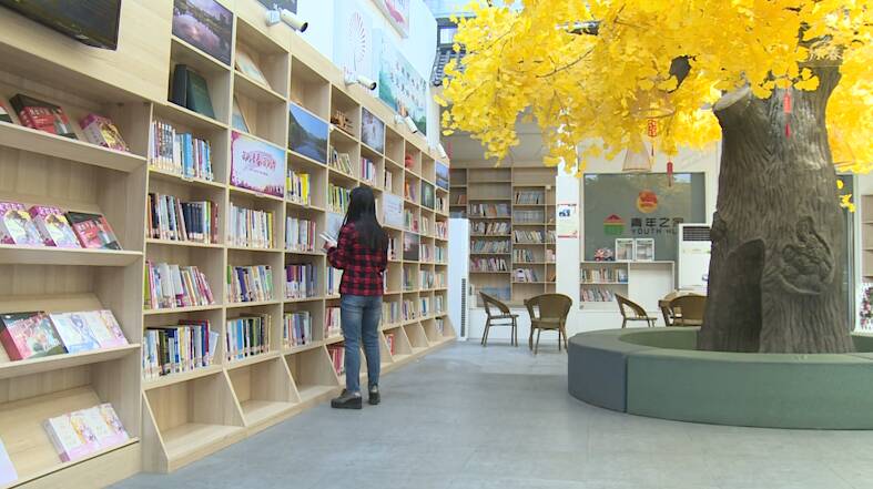 莒县图书馆、城市书房有序恢复开放