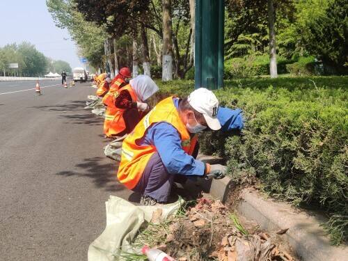 潍坊市潍城区：绿地“落土”行动推进城市颜值与品质“双提升”