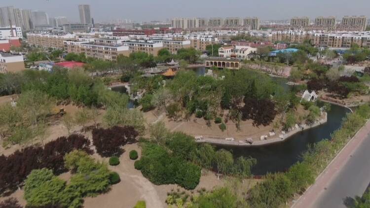 东营市东营区：公园改造惠民生 老公园旧貌换新颜