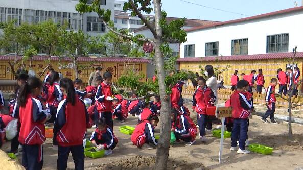 我劳动，我快乐！潍坊市坊子区学校办起“开耕节”
