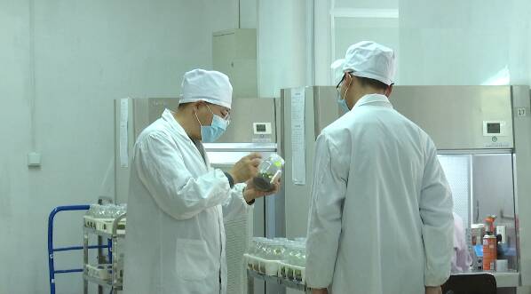 潍坊市“劳模”潜心研究组培技术 打造蝴蝶兰生产基地带动乡亲增收