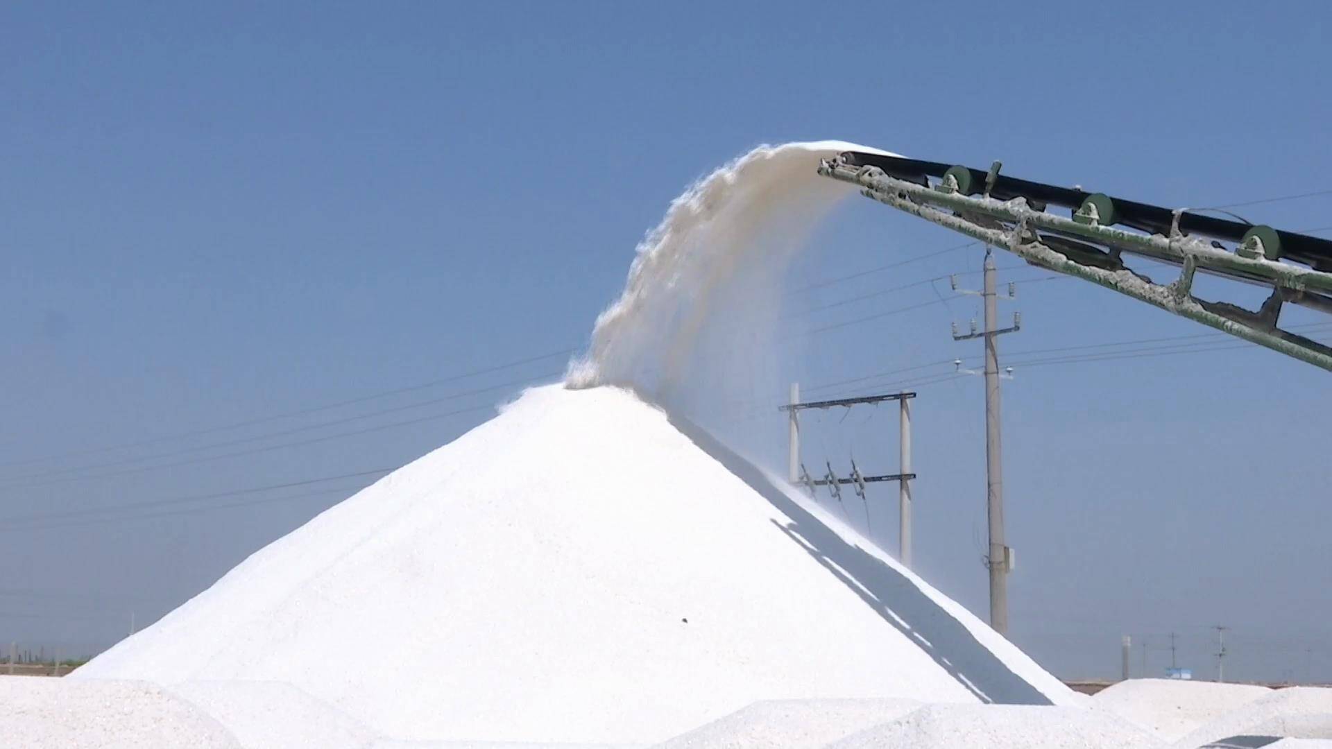 平均亩产5吨以上 昌邑70万亩春盐喜获丰收
