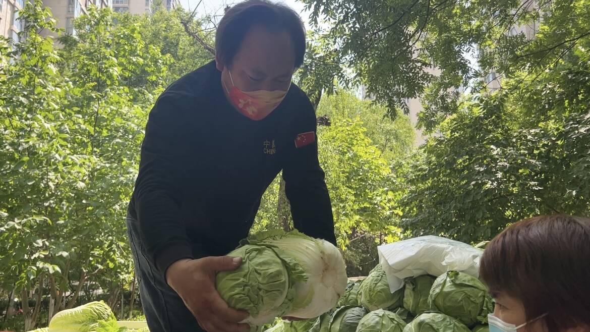 免费捐1.8万斤蔬菜的济南菜农夫妇：只想回馈别人对自己的好
