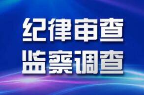 淄博绿博燃气有限公司董事长赵颙接受纪律审查和监察调查