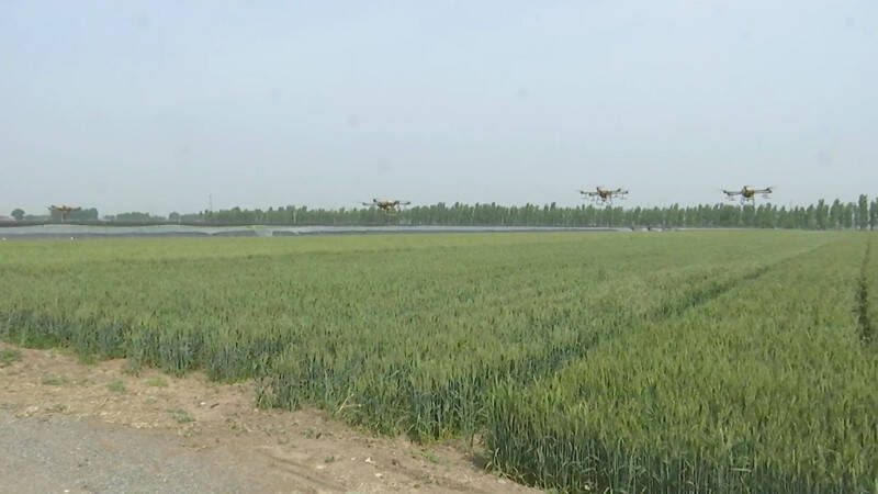 昌邑：已累计实施小麦“一喷三防”超69万亩