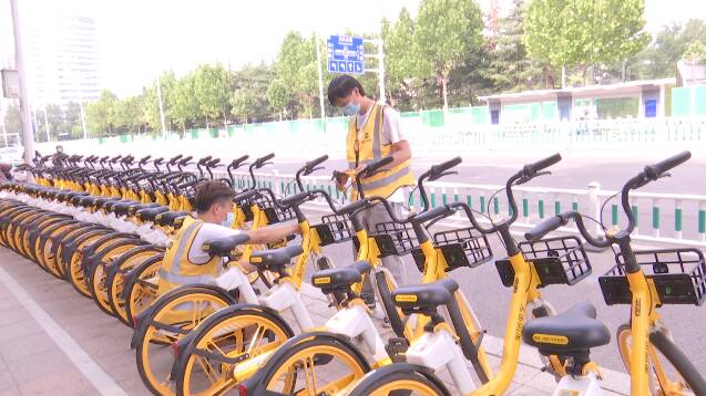 无序投放成为“过去式”！潍坊中心城区2万辆共享单车有了“身份证”