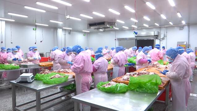 潍坊市坊子区年产值5亿元的预制菜产业项目投产在即 5000吨订单“找上门”