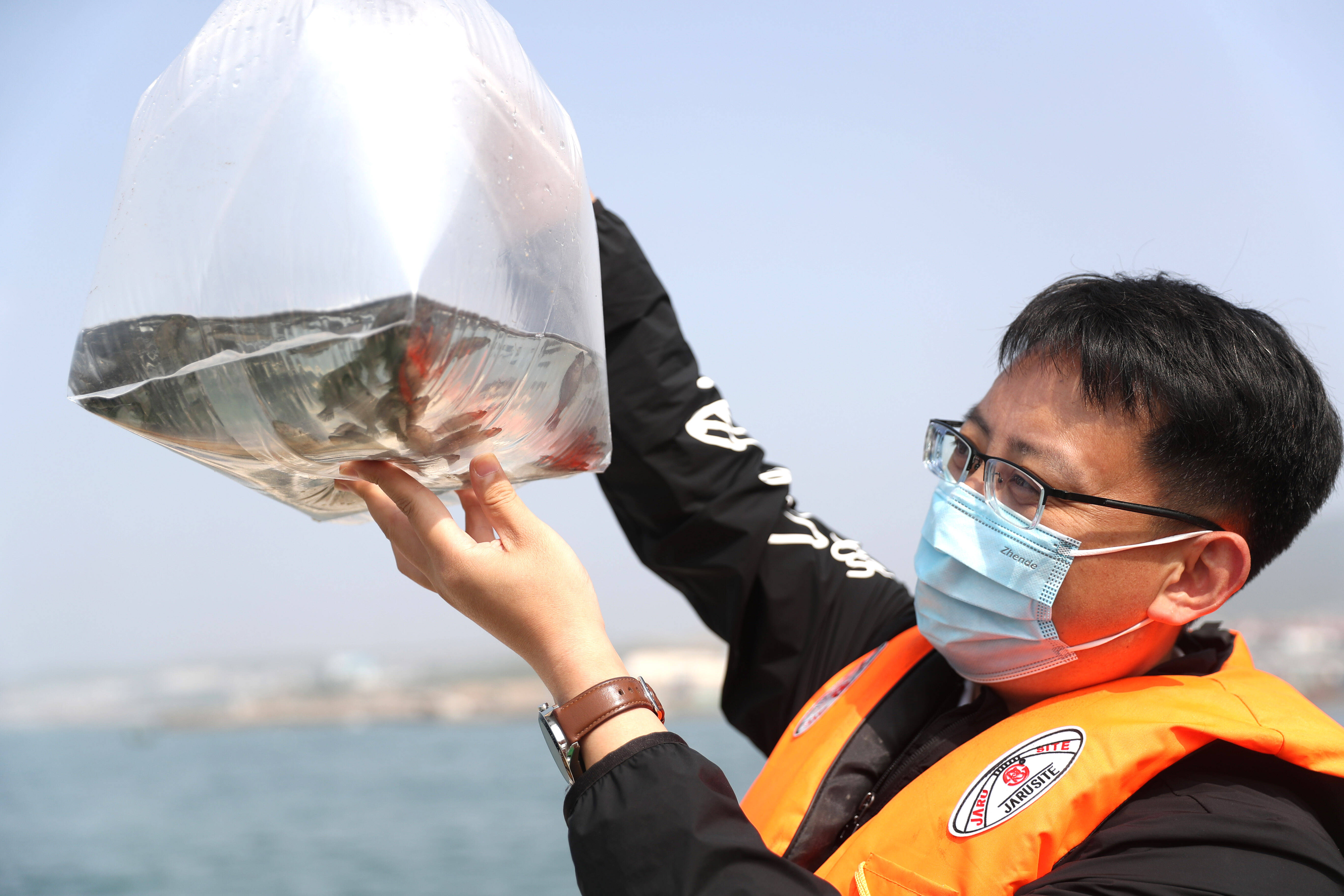 青岛：7000多万单位优质鱼虾蟹苗“播种”大海