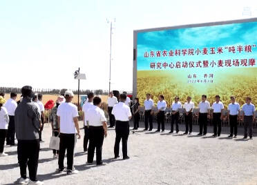 【山东新闻联播】省农科院小麦玉米“吨半粮”技术研究中心在齐河县成立