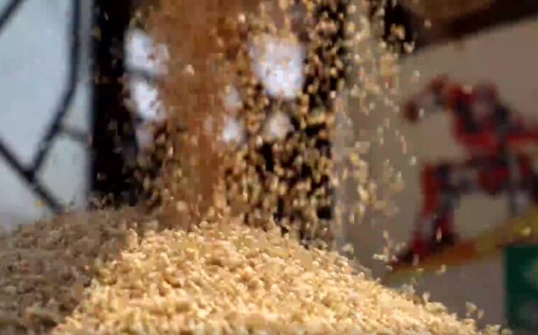 亩产达到757.6公斤！滕州市400亩宅基复垦小麦喜获丰收