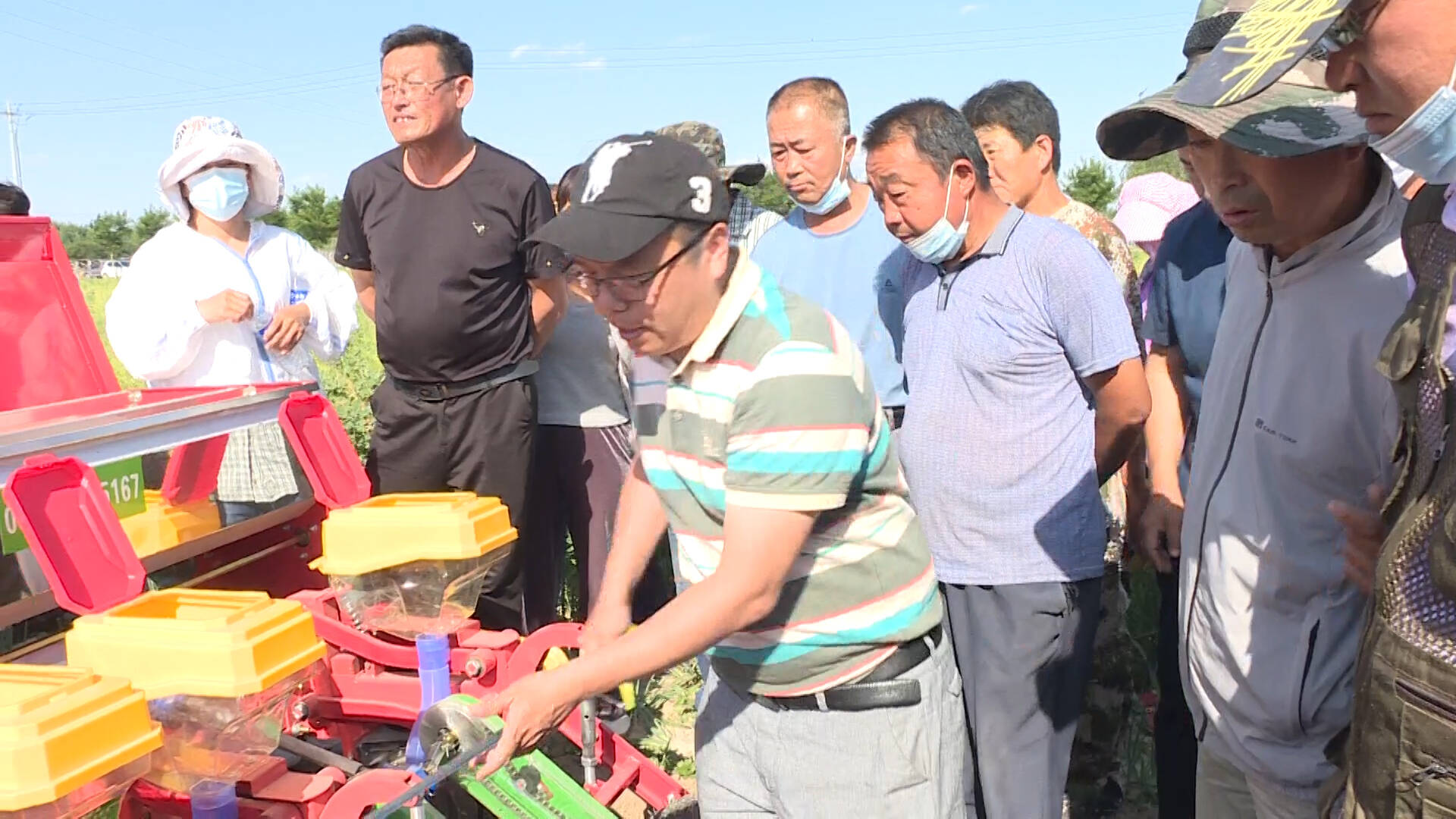 平原县推广玉米大豆带状复合种植技术，力争“玉米不减产 增收一季豆”