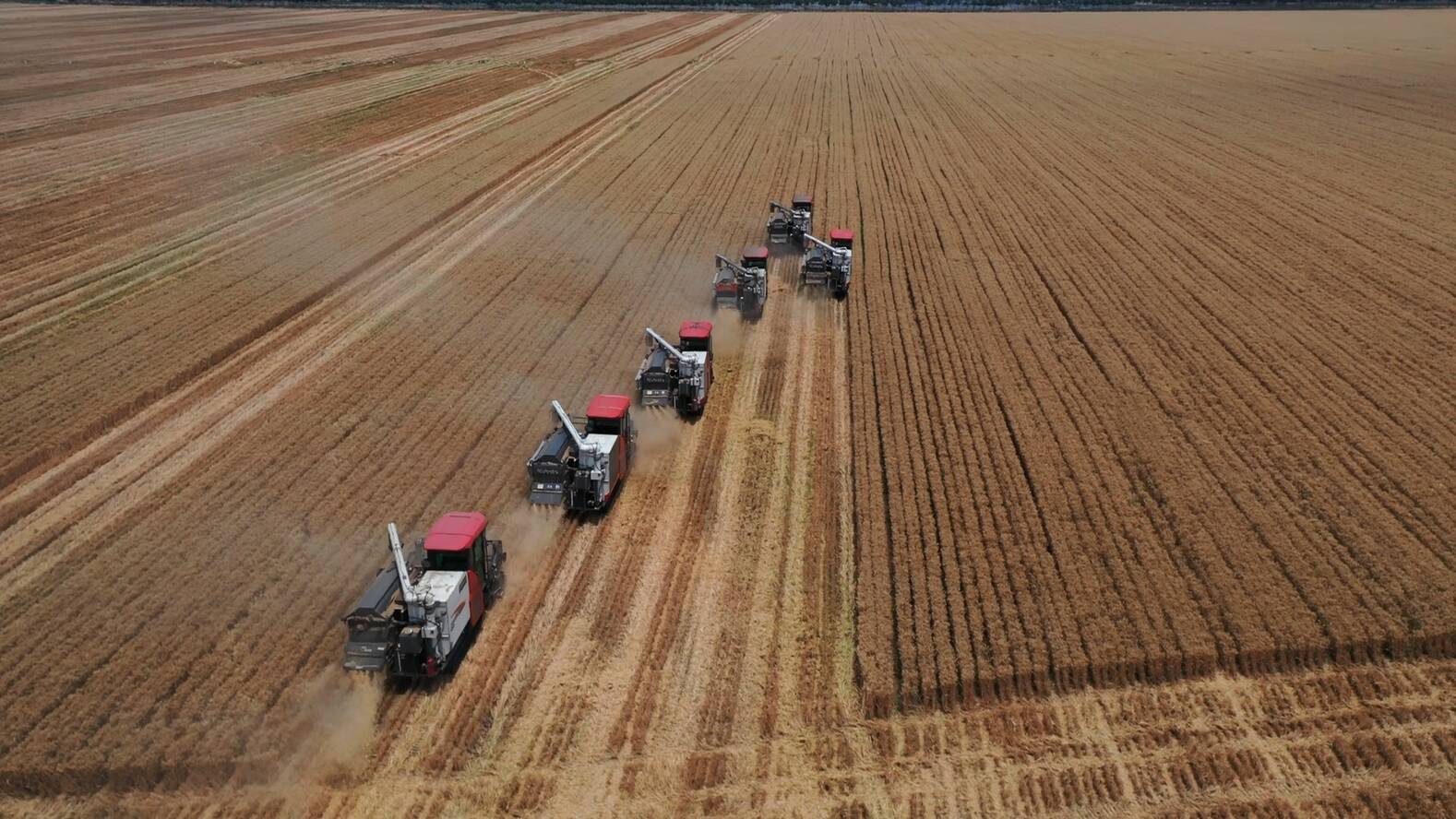 广饶： “三夏”农忙进行时 54.3万亩高标准农田实现 “颗粒归仓”