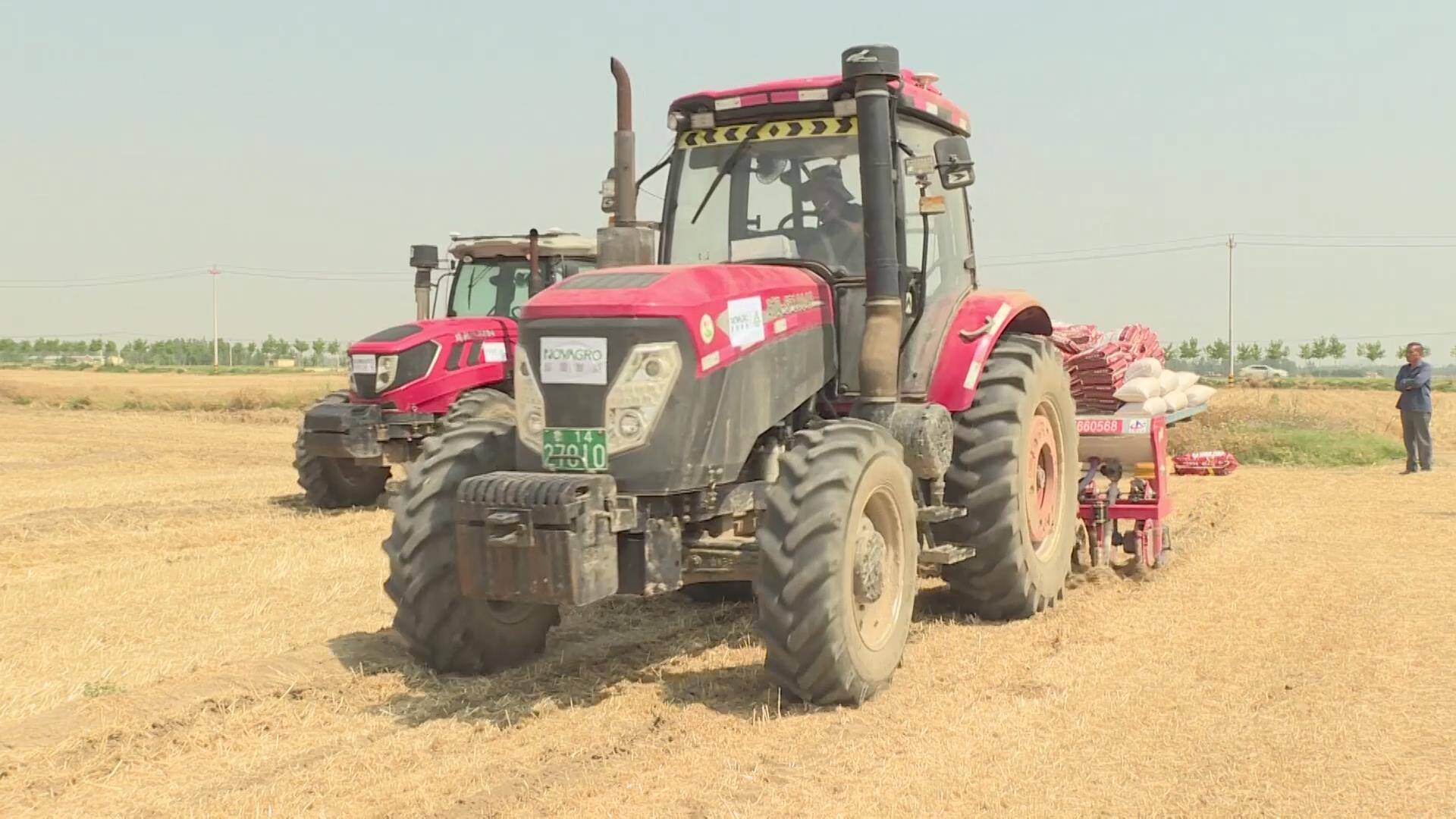 三夏一线丨德州：小麦机收完成66%，大豆玉米带状复合种植全面展开