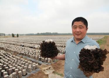 东平县现代食品产业链：发展农业科技 帮企业撑起“致富伞”