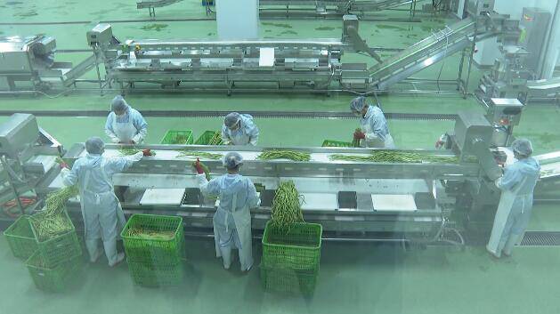 兰陵县打响“苍山味”品牌 开启预制菜产业加速发展模式