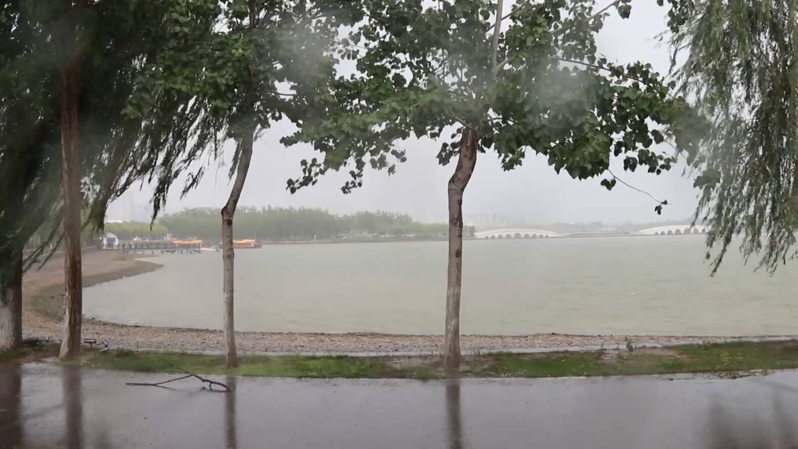 东营市迎来今年首次大范围暴雨 局部降水量达到100毫米以上