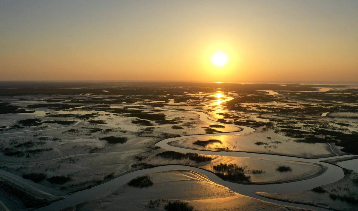 shandongexploresutilizationofsalinealkaliland